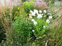 DSCF0090 (2).webp