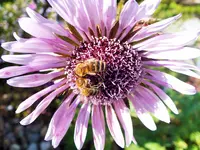 DSCF0084 (2).webp