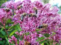 DSCF0085 (2).webp