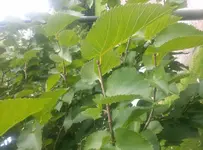 20170907_122421.jpg