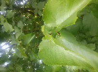 20170907_122355.jpg