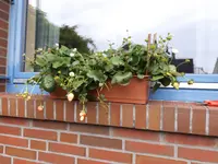20170907_184559.webp