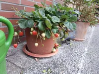 20170907_184605.webp