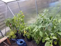 20170907_184824.webp