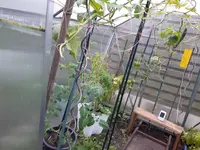 20170907_184832.webp