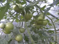 BILD8198.webp