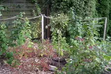 IMGP1610.webp