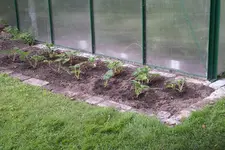 IMGP1611.webp