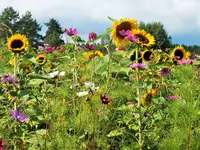 DSCF0050 (2).webp