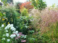 DSCF0097 (2).webp