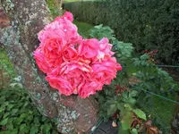 DSCF0103 (2).webp