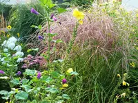 DSCF0099 (2).webp