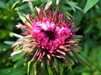 DSCF0113 (2).webp