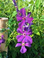 DSCF0104 (2).webp