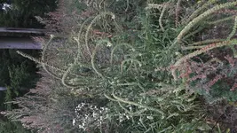 20170908_085654.webp