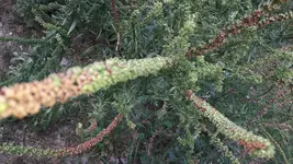 20170908_085808.webp