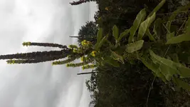 20170908_101155.webp