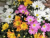 DSCI2284.webp