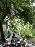 IMG_20170909_130755.webp
