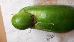 IMG-20170909-WA0011.jpg