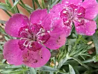 B82.webp