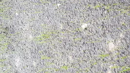 20170909_175805.webp