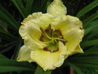 002_1024x768.JPG