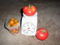060.webp