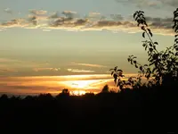 038.webp