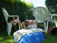 015.webp