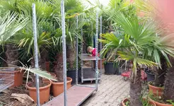 20170909_115655.2.webp
