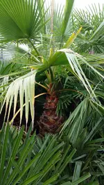 20170909_115814.2.webp