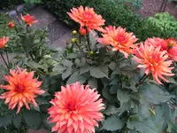 IMG_5759.webp