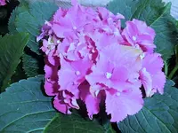 DSCI2276.webp