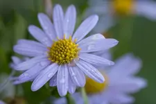 k-NP1A6980-1.webp