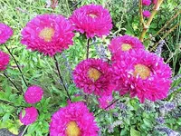 DSCI2146.webp