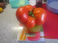 IMG_2228.webp IMG_2228.webp