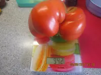 IMG_2229.webp IMG_2229.webp