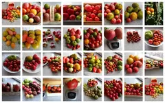 2017-07-09.webp