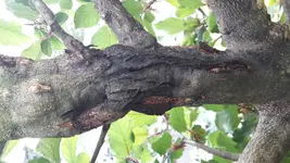 20170907_155621[1].webp