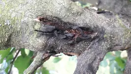 20170907_155653[1].webp