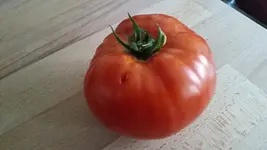 20170910_181503.webp