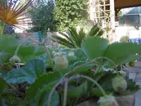 P1010918.webp