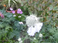 P1010911.webp