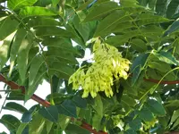 DSC01899.webp