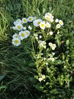 DSC01930.webp