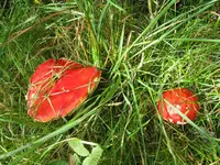 002_1024x768.JPG