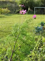 DSC01931.webp