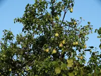 DSC01932.webp