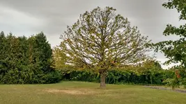 IMG_20170910_163233280_HDR.webp
